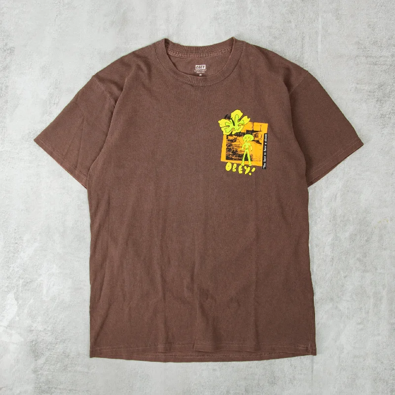 Obey You Have To Have A Dream Tee - Pigment Java Brown